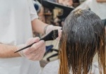 Professional stylist applying hair dye during a hair coloring service. This treatment showcases modern hair color ideas in 2024, with a focus on trendy new shades for the season.